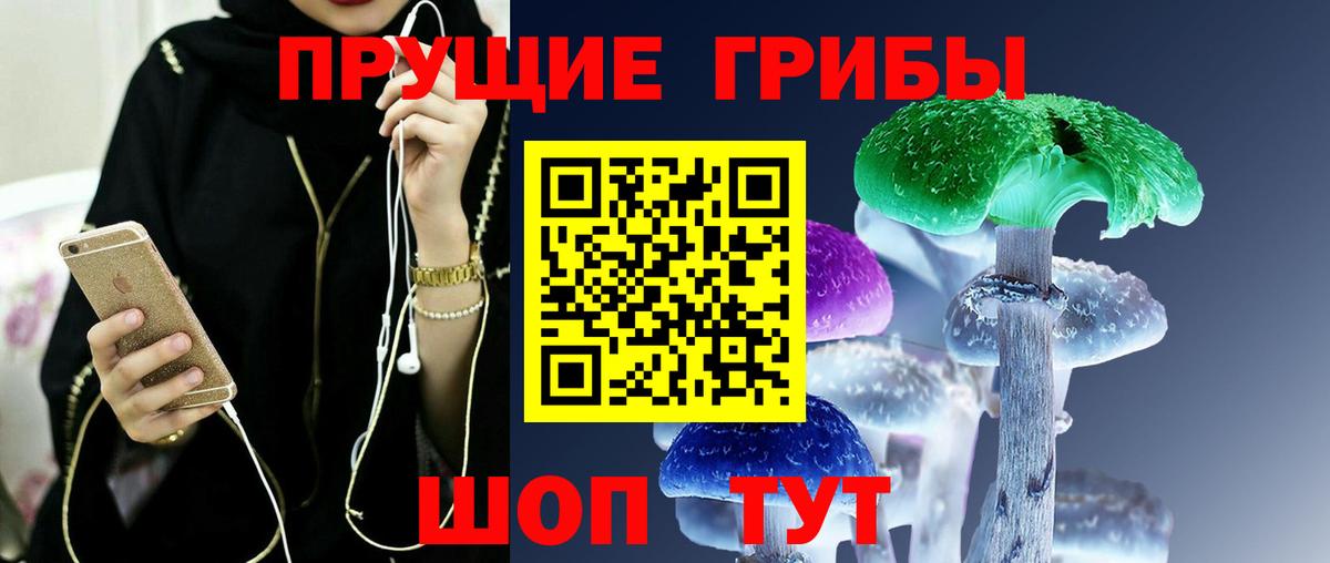 закладки  Псилоцибиновые грибы Psilocybine cubensis  Вход с VPN  Гусев 